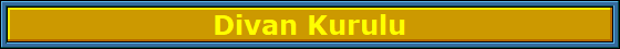 Divan Kurulu